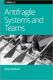 Antifragile Systems and Teams