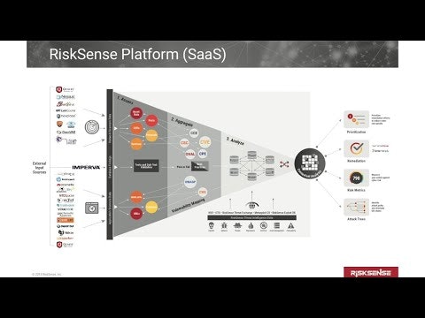 RiskSense Platform Demonstration