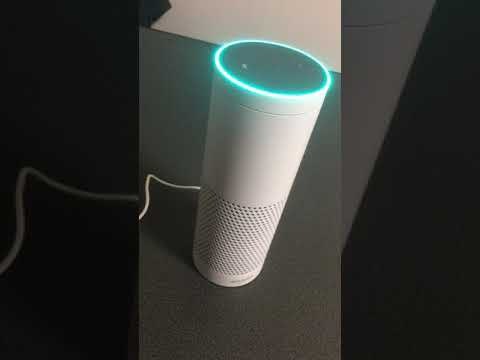 AmazonEchoPlus ピカチュウを呼んでみた(1回目)