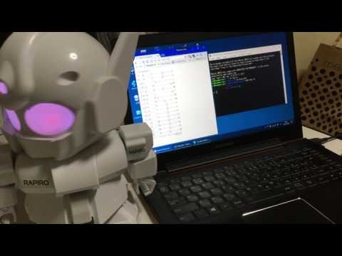 二足歩行ロボット Rapiro を Node.js で制御 － ブラウザからポージング 