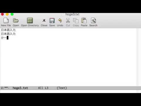 Emacs(EMP,25.1, Custom)