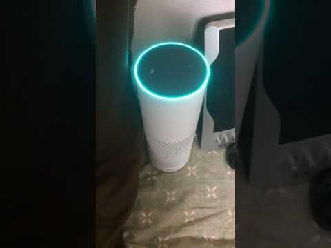 AmazonEchoPlus ピカチュウを呼んでみた(2回目)