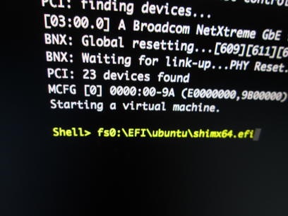 EFI ShellからBitVisorを起動したあとの画面