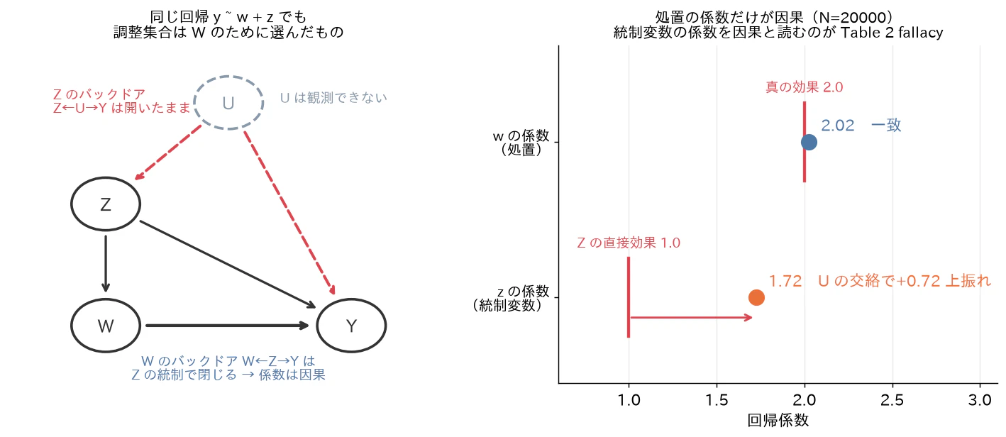 Fig 3: Table 2 fallacyの模式(左:WのバックドアはZの統制で閉じるが、Z自身のバックドアZ←U→Yは開いたまま、右:wの係数2.02は真値2.0に一致、zの係数1.72は直接効果1.0から大きく上振れ)