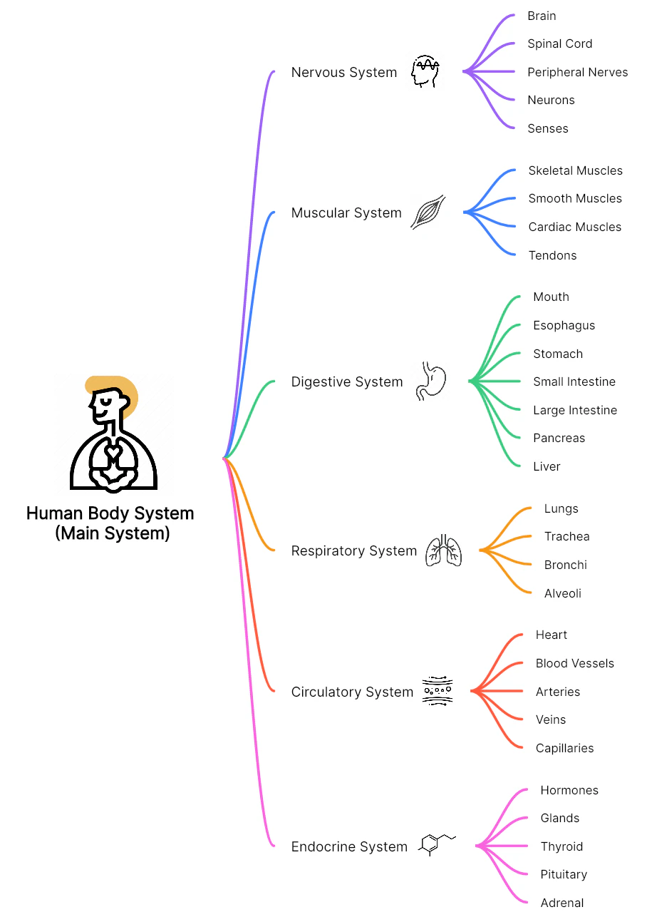Theories Comprehension