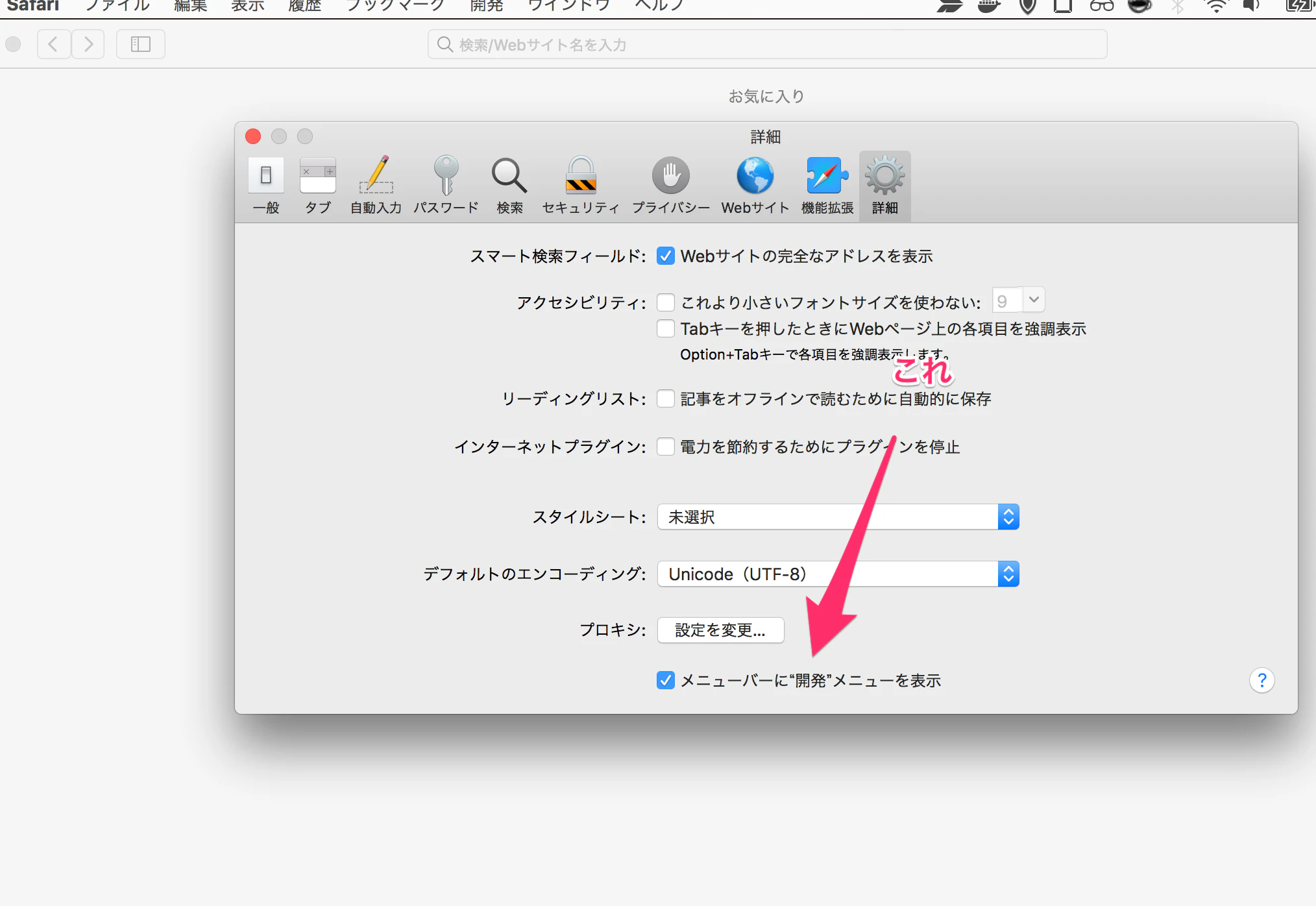 Safari 開発メニューを表示