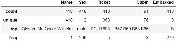 describe(include='O')