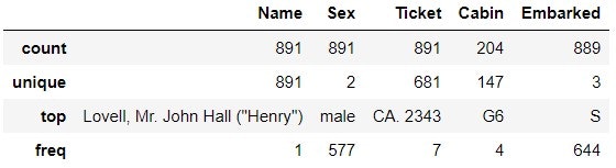 describe(include='O')