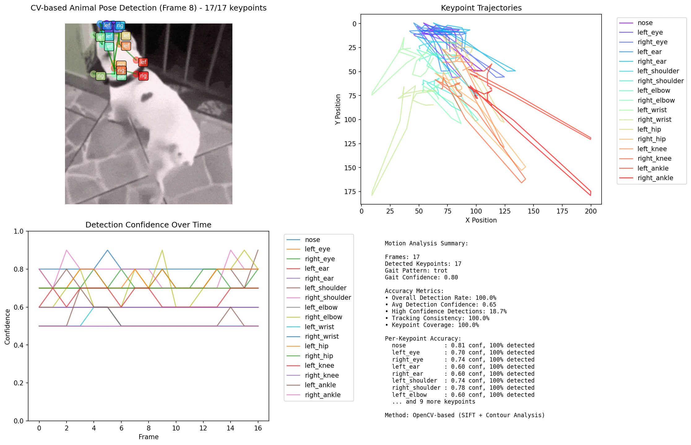 CV Pose Analysis