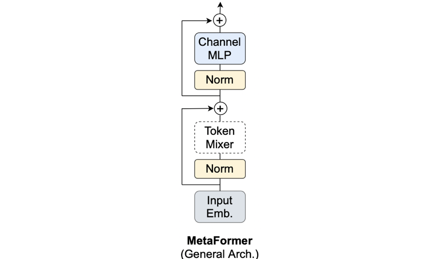 mf_metaformer