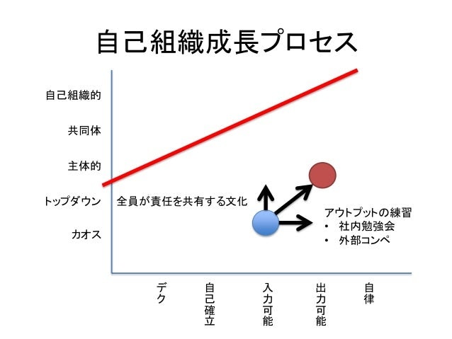 自己組織成長プロセスの現実解