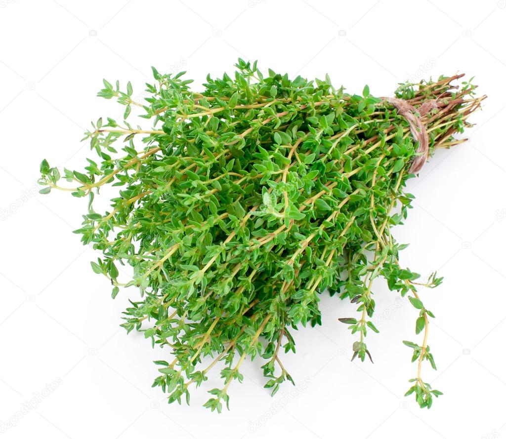 Thyme Game Jam