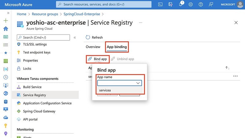 spring-cloud-service-registry-bind-app