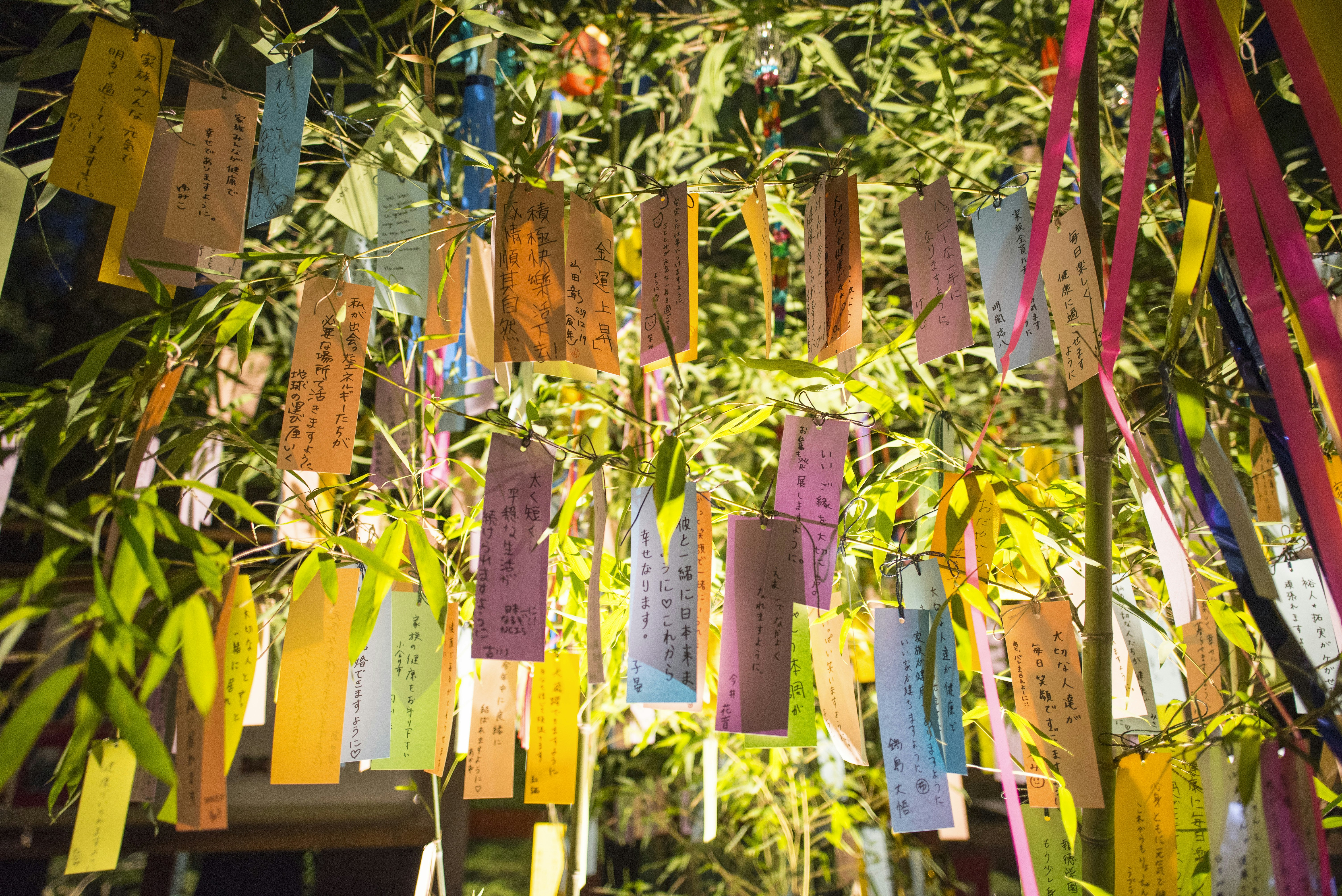Tanabata in Kibune / 貴船神社の七夕