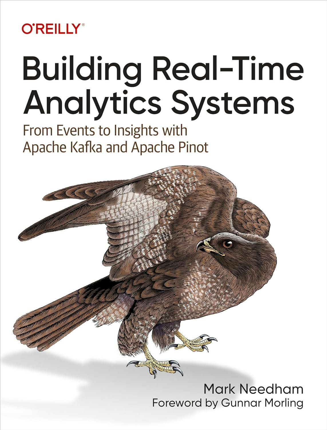 Building Real-Time Analytics Systems書影