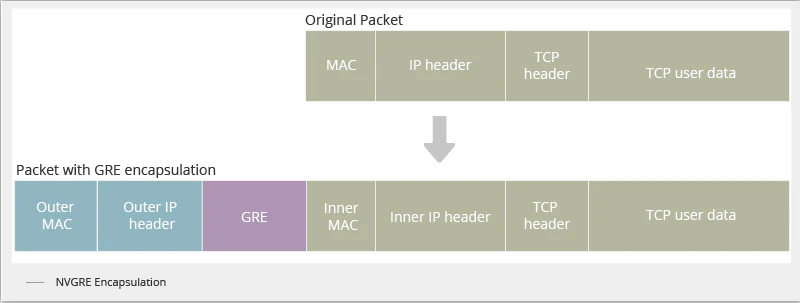 _1579074741_e5GnyeD3gR.png Figure 2 Packet Format of NVGRE.png