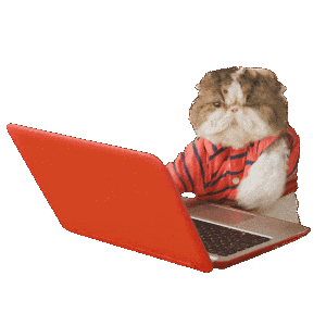 出典: Aaron's Animals