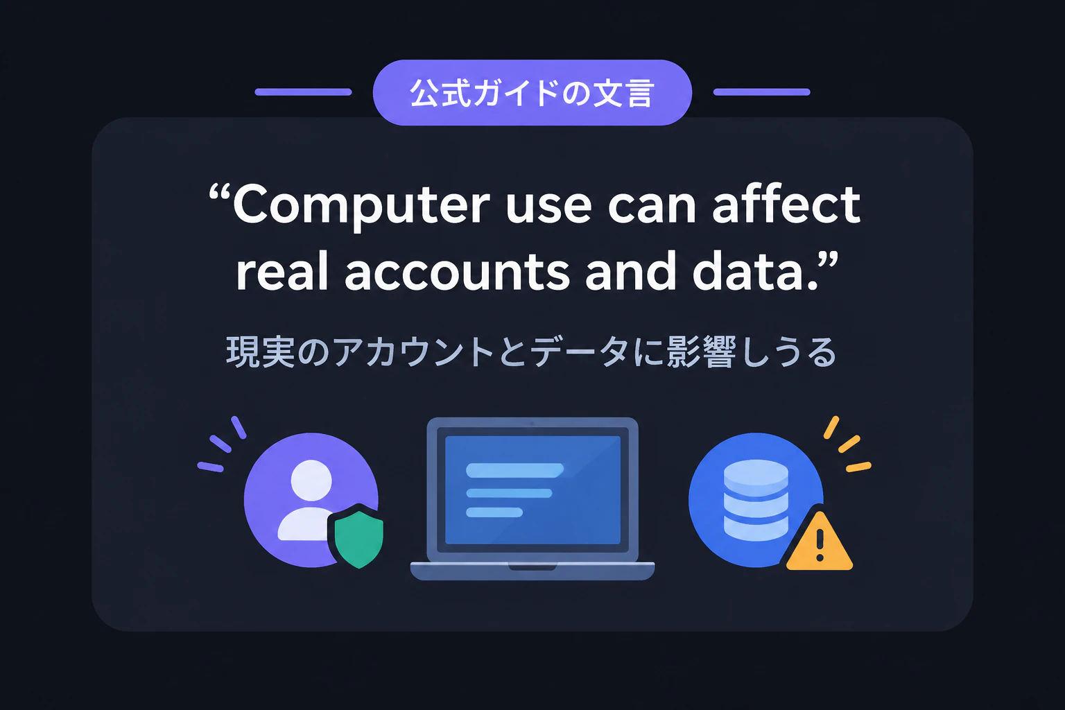 公式ガイドの文言:Computer use can affect real accounts and data.