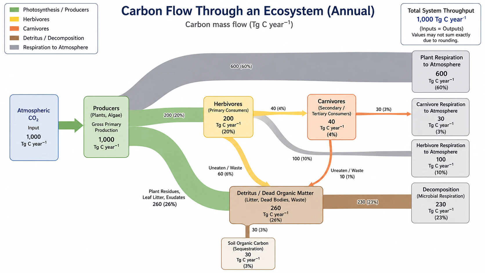 Carbon flow Sankey diagram