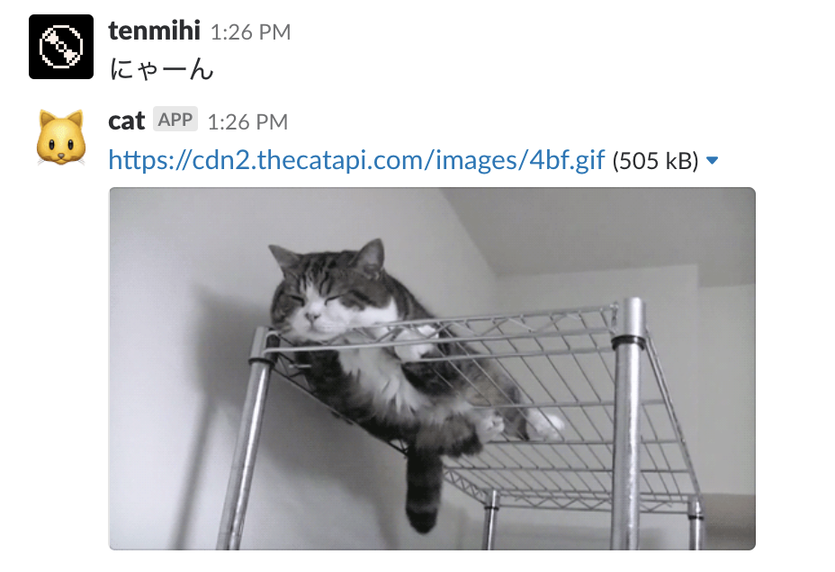 技術 者 を支えるネコ にゃーんbotを作った Qiita 技術 者 を支えるネコ にゃーんbotを作った Qiita