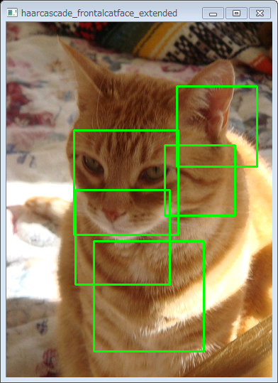 cat2.PNG