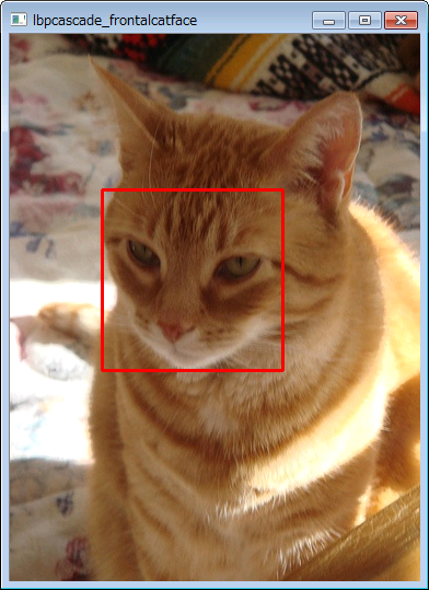 cat3.PNG