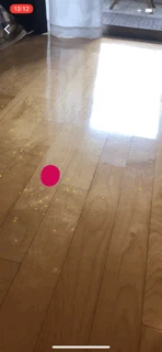 GIFイメージ-F6AAB9EDF2C6-1.gif