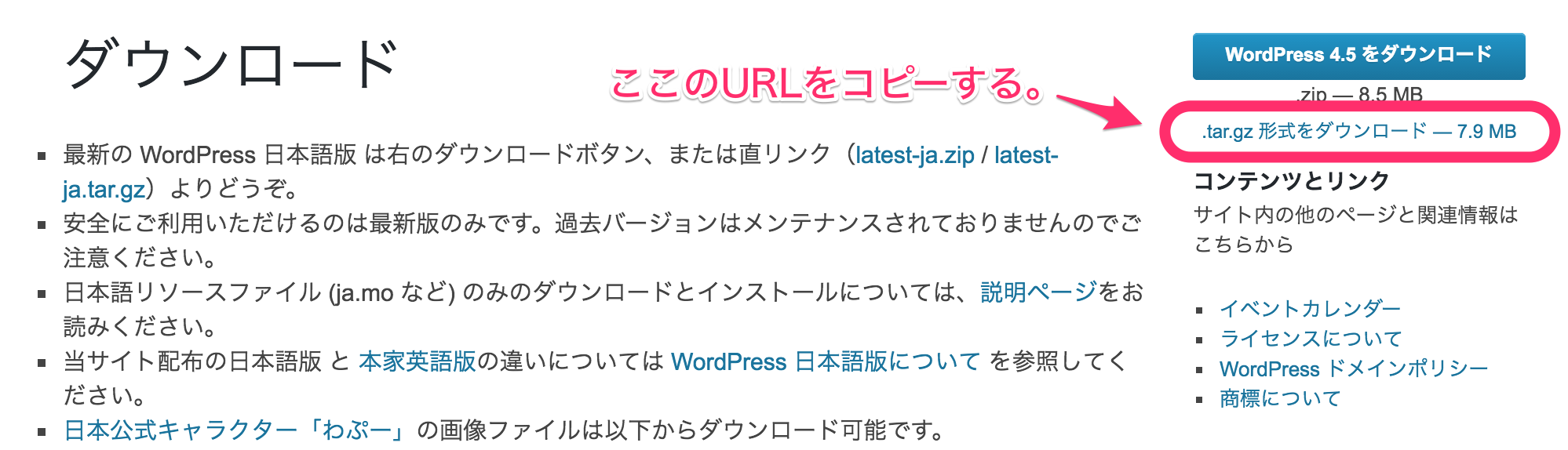 日本語_—_WordPress.png