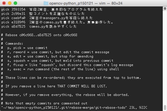 opencv-python_p150121_—_vim_—_80×24.jpg
