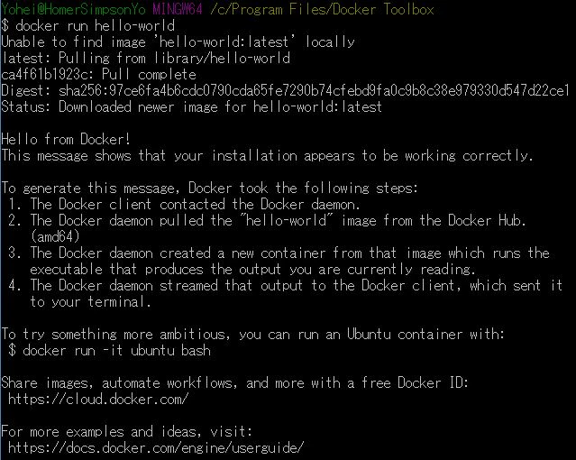 20.RunDockerTerminal02.JPG
