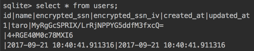 attr_encrypted_6.png
