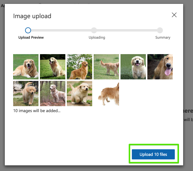 Custom Vision: dog-detection - Training Images 2018-09-27 17-48-00.png