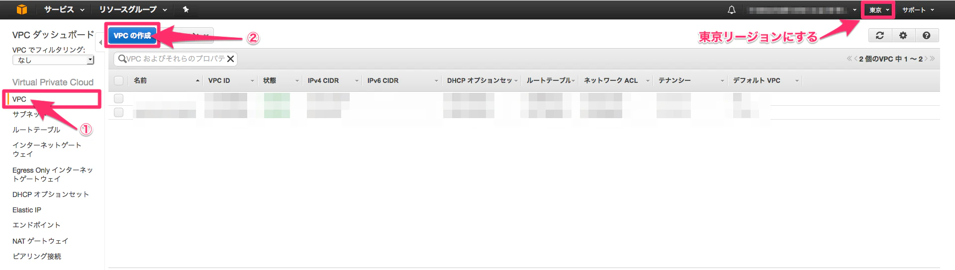vpc100.png