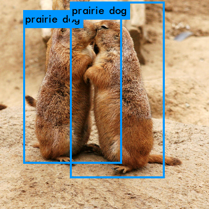 predictions_prairie_dogs.png