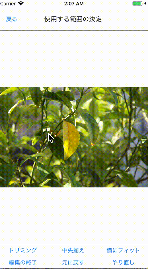 PhotoLibraryTrimingプレイ動画・トリミング.gif