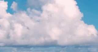 toast2.gif