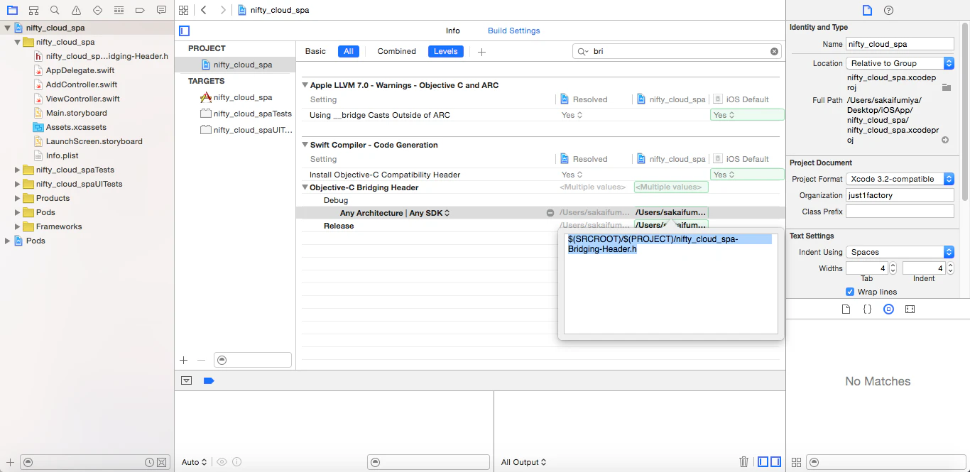 bridging-header-setting.png