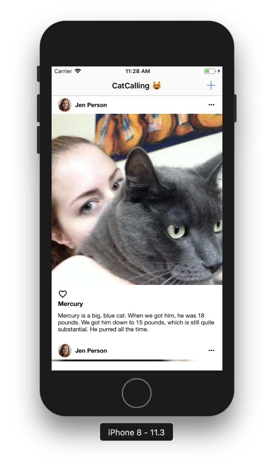 Screen Shot 2018-05-24 at 11.28.51 AMimage1.png
