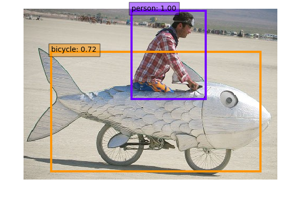 fish-bike.jpg.png