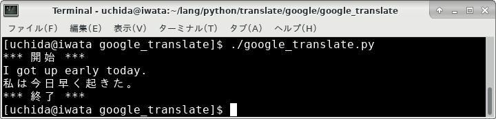 google_translate_aug19.png