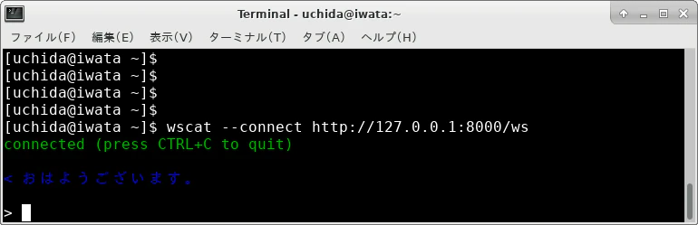 websocket_feb0202.png