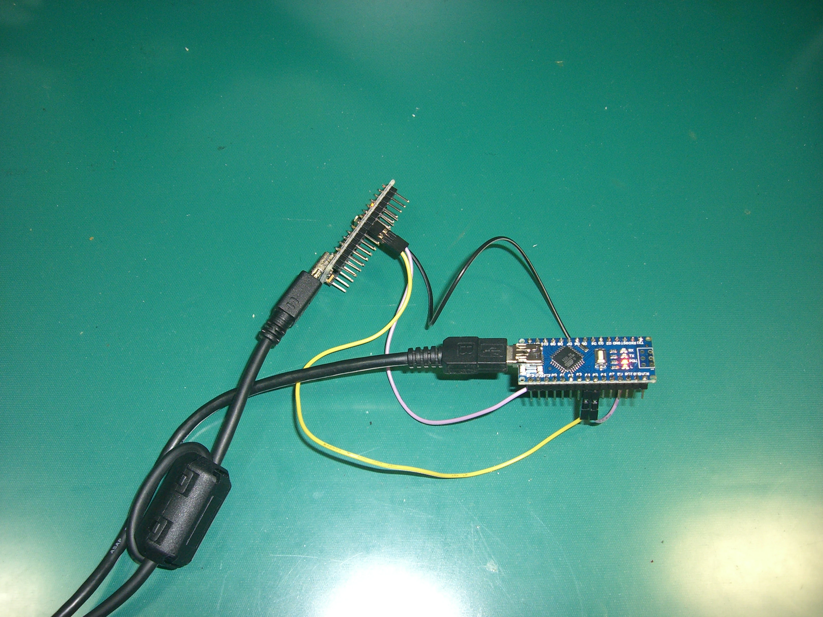 CIMG2523.JPG