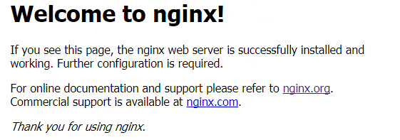 nginx_services_check.png