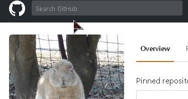 github_search_repository.jpg