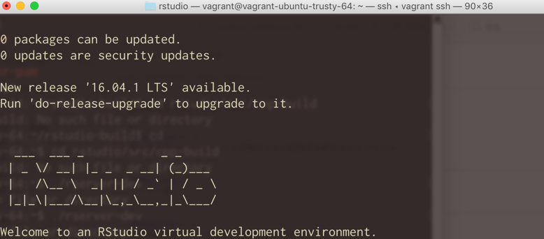 rstudio_—_vagrant_vagrant-ubuntu-trusty-64____—_ssh_◂_vagrant_ssh_—_90×36.png