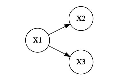causal_graph.png