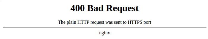 nginx-bad-request-error.png