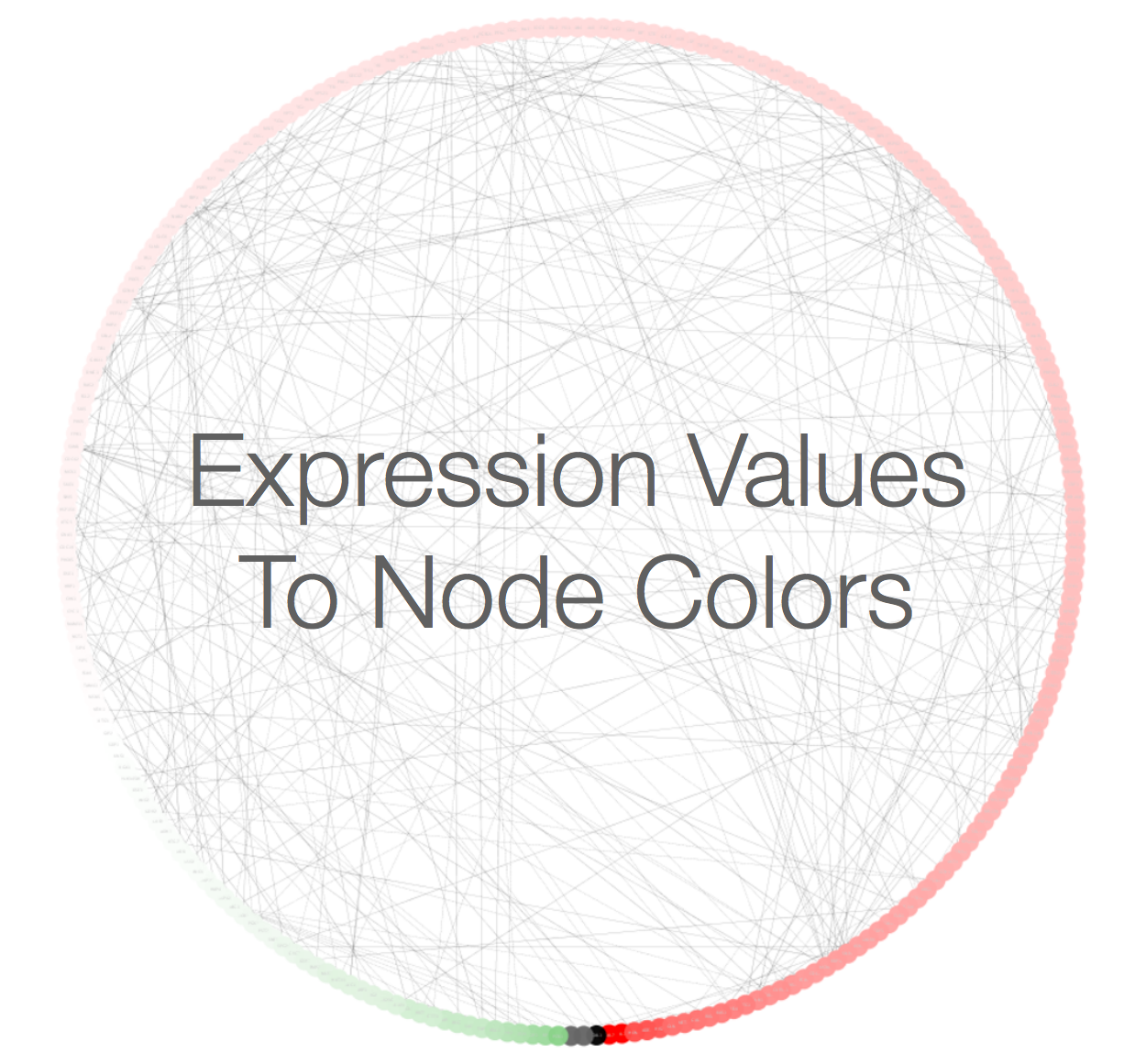 Node Color Mapping