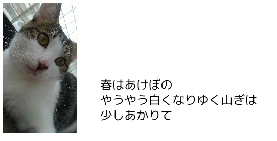 07.PNG