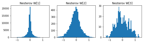 Nesterov_W.png